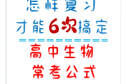 
高二生物公式卡！计算类公式，每天记
