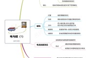 高二物理思维导图！电磁学知识点，梳理清晰
